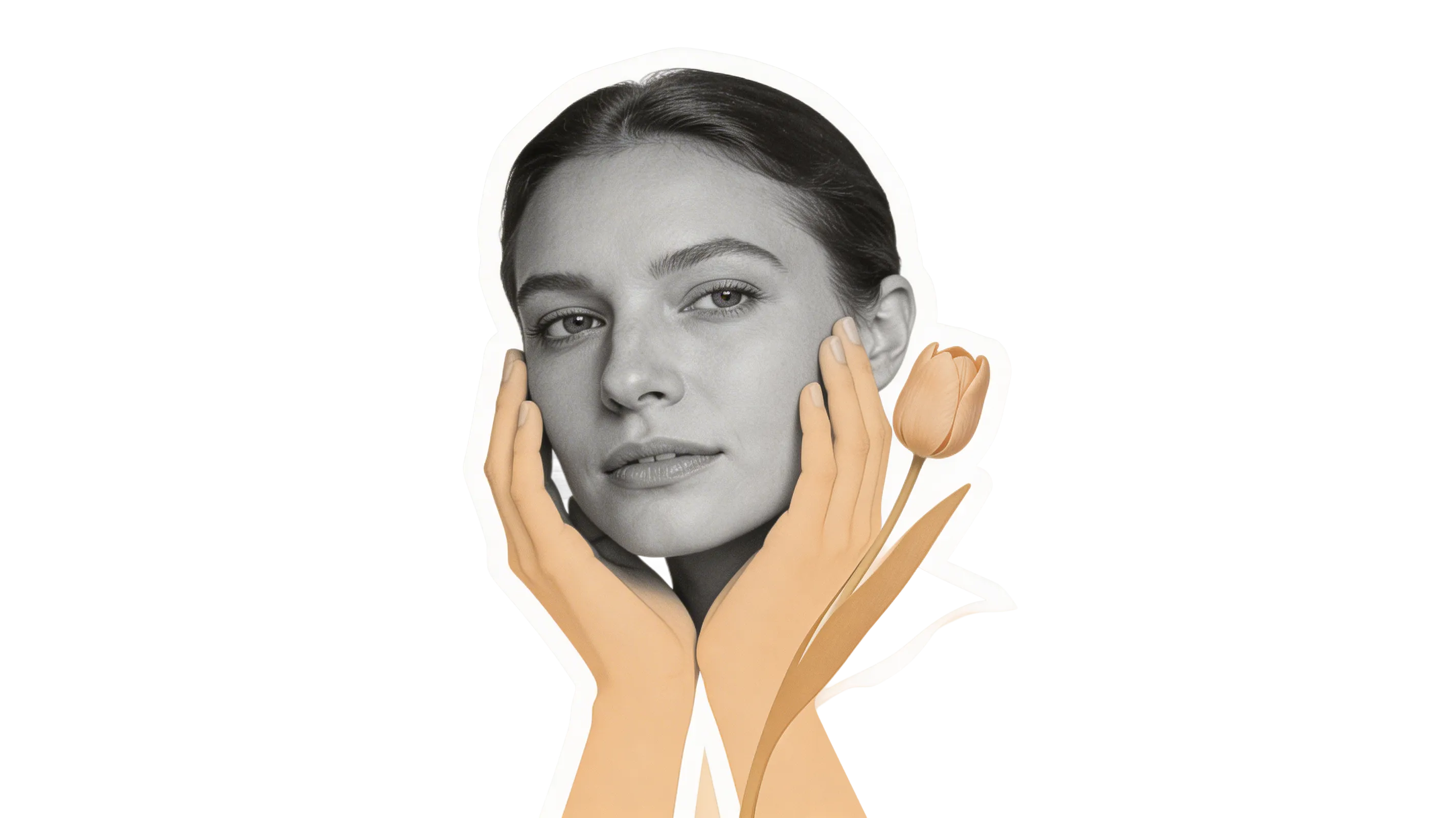 Psychedelic coaches Netherlands