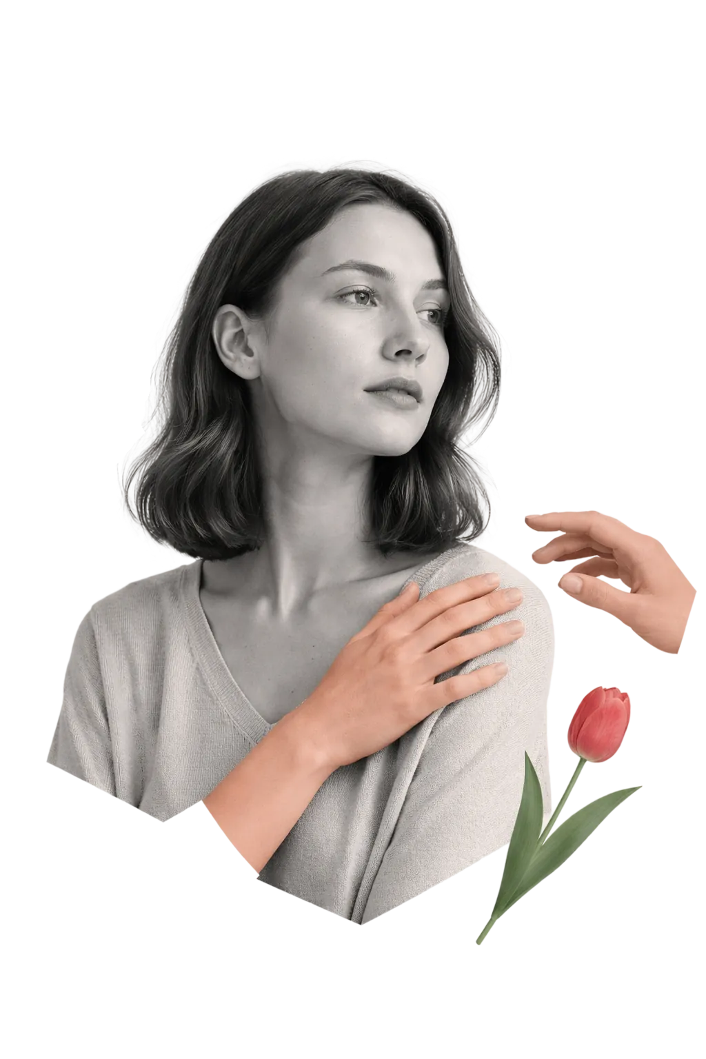 Psychedelic retreats Netherlands